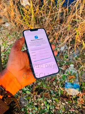 I Phone 11 Pro Max I Cloud Removal Service