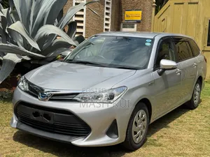 Toyota Corolla Fielder 2019 Silver