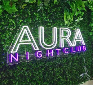 Neon Signs (Available in Multiple Colours)