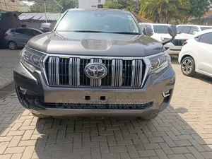 Toyota Land Cruiser Prado 2019 Gray