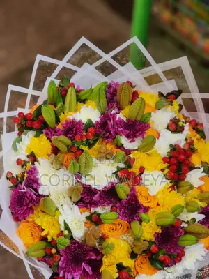 Newly Fresh Cut Flowers