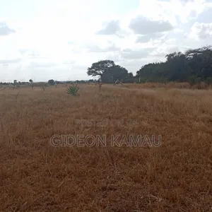 Malaa Plots for Sale