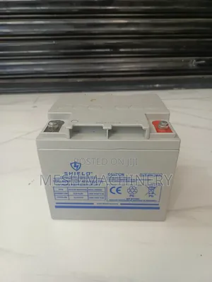 Shield 12alo4omf 12v 42ah Maintenance -Free Battery