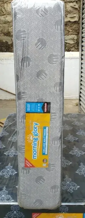 Morning Glory 4x6x10 Inch Plain Deluxe High Density Mattress