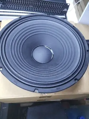 15 Inch JBN Naked Speaker