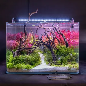 Aquarium for Rsale