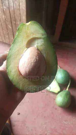 Mannjoro Green Grocer