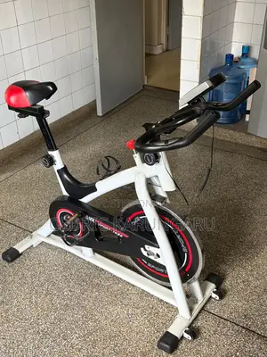 Flywheel Exercise Bike