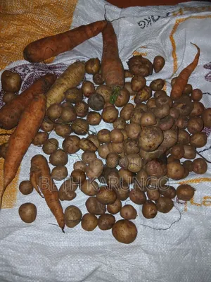 Fresh From the Farm