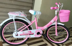 Pink 20-Inch Girl's Bicycles