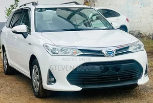 Toyota Corolla Fielder 2019 White