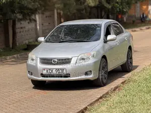 Toyota Axio 2010 Silver