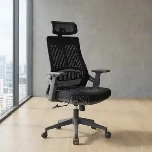 Office Chair; Lama Orthopedic Ergonomic Office Chair