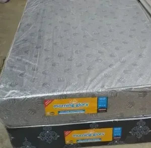Morning Glory 4 By 6 10 Inch Plain Deluxe High Density Mattress