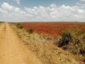Sipilie, Malan 100 Acres Land