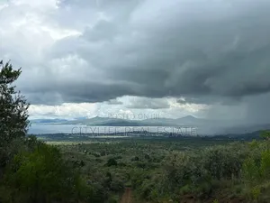 Naivasha, Green Park Phase 11, 5 Acres