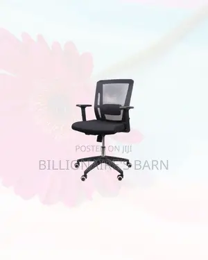 Practical Barn Origin Chair Mid Back Nylon for Gaming and Desk Use