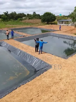 Modern Fish Pond Constructions