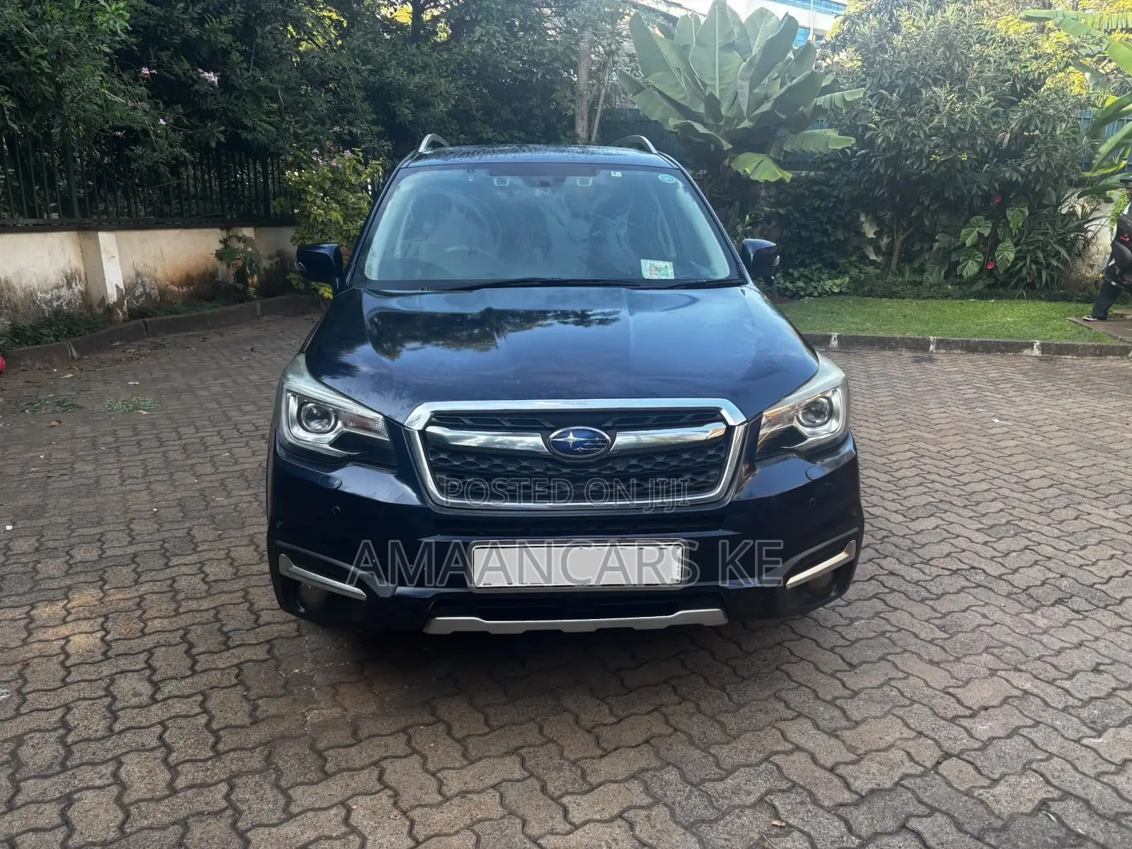 Subaru Forester 2016 Blue