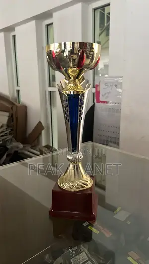 Quality Trophy 34cm – Elegant Design for All Occasions 