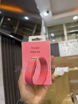 Google Fitbit Air