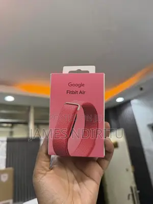 Google Fitbit Air
