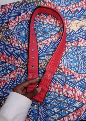 Heavy-Duty Nylon Dog Collar