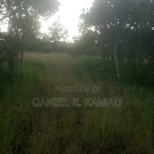 3-Acre Plot, Kariguini, Close to Marina Centre, Nyeri-Nyahururu Road