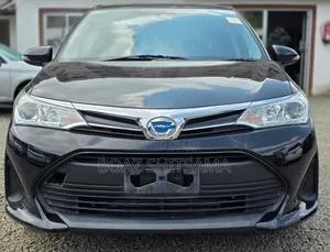 Toyota Axio 2019 Black