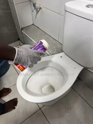 Cleaning Services