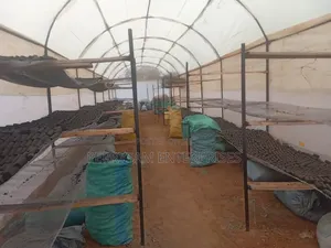 Briquettes