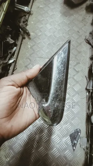Sidemirror Finisher Subaru Forester