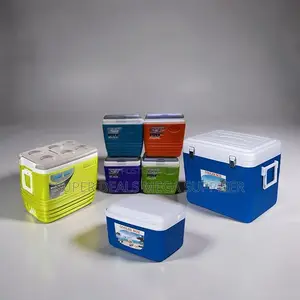 Stain Resistant Material 4.5l,10l, 25l,32l Portable Cooler Box Ice Box