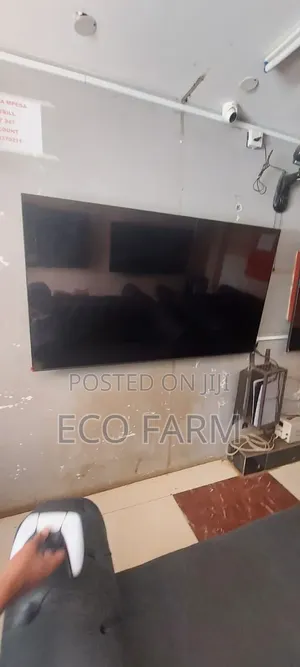 Television