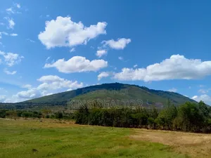 Kiliku at 
