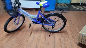 Blue Lion King Kids Bicycle Size 20"