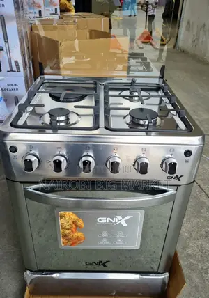 Gnix 3+1 (60x60)standing Cooker