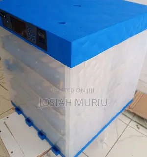 256 Eggs Incubator