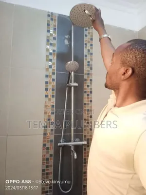 Plumbing Works