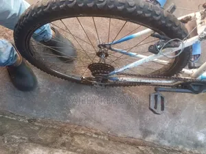 Adventure Bicycle