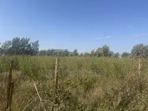 One Acre Chavara
