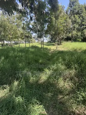 One Acre KIBIT