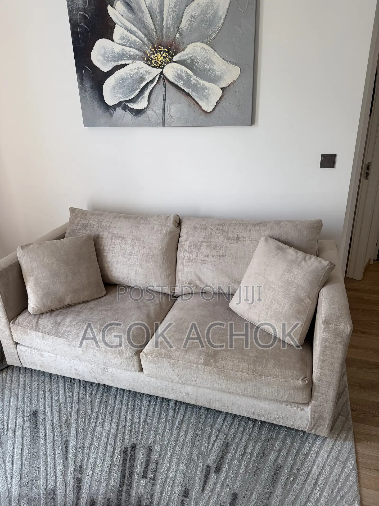 Coach Sofa Set