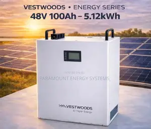 Vestwoods 48V 100Ah Lithium Battery