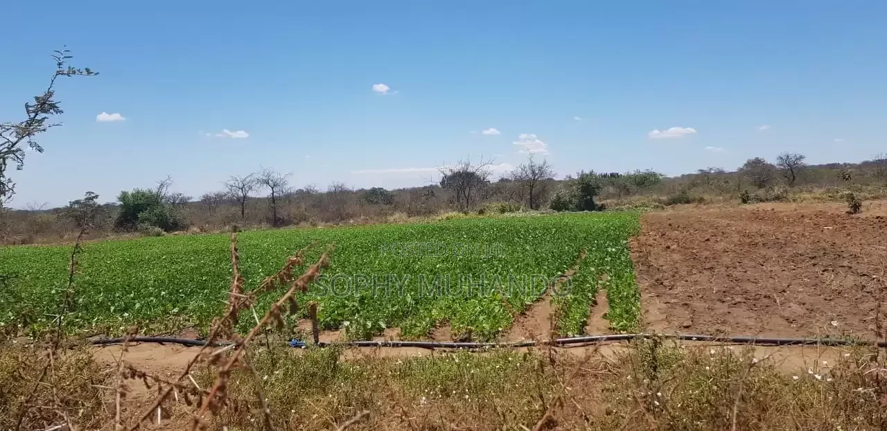 1/4 Acre Plot at KSh – Matuu