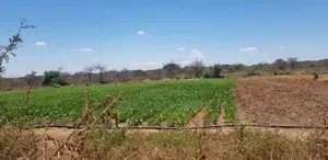 1/4 Acre Plot at KSh – Matuu