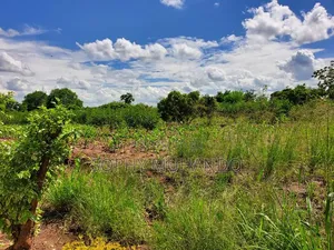 1/4 Acre Plot at KSh – Matuu