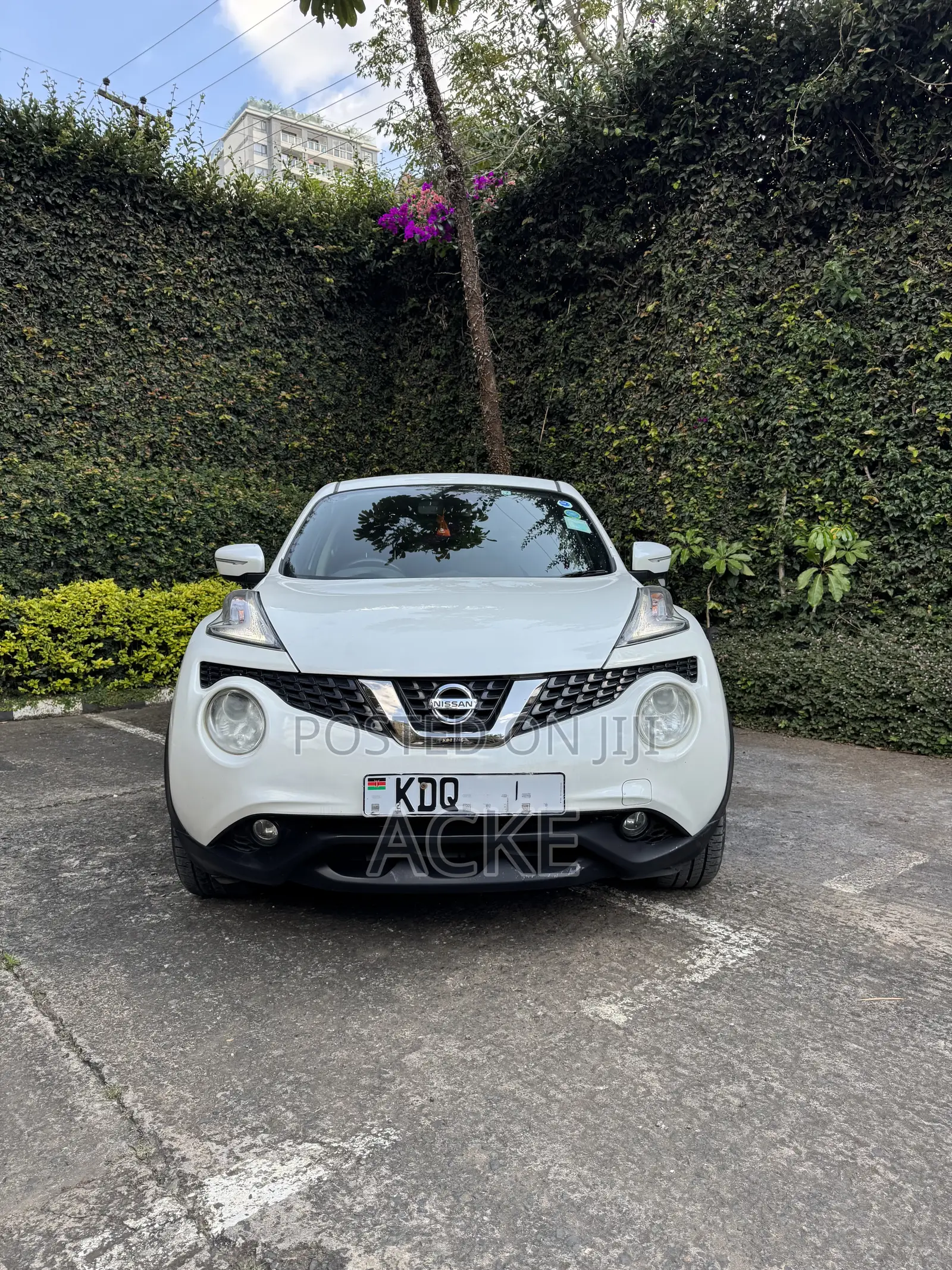 Nissan Juke 2017 White
