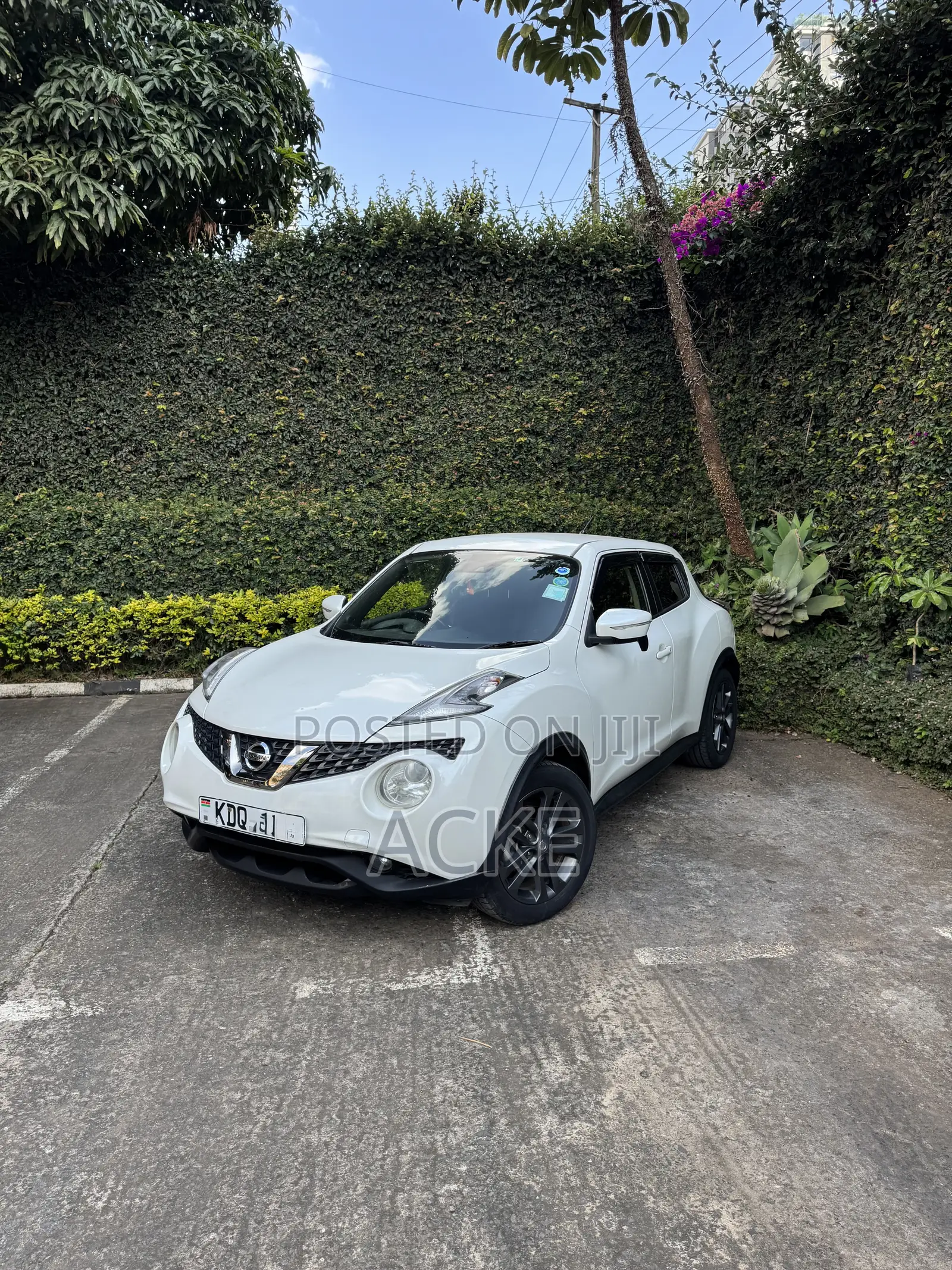 Nissan Juke 2017 White