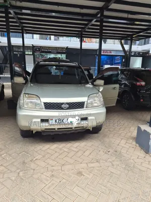 Nissan X-Trail 2.0 2002 Gray